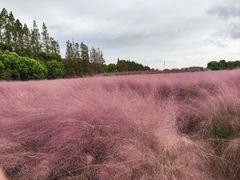-嘉北郊野公园