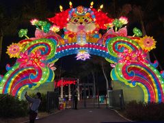 -欢乐海岸椰林沙滩-2025湾区超级灯会