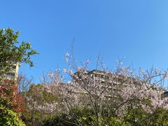 -舟山朱家尖绿城威斯汀度假酒店