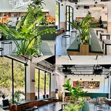 顺德大良探店｜U Ready山脚下咖啡店～