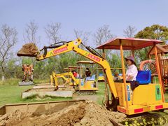 -杭州湾海上花田景区