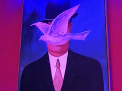 -黄尚皇小龙虾-螃蟹-烧烤工坊(皇后公园店)