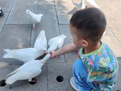 -天津妈祖文化园