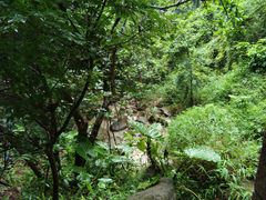-火炉山森林公园
