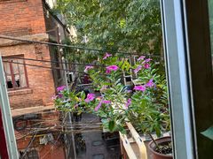 -胖哥料理(兴义里店)