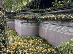 -慈城古县城景区