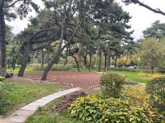 -长春市南湖公园