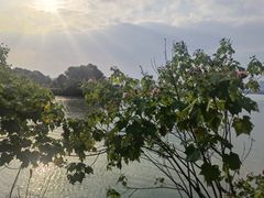 -艾溪湖湿地公园