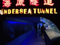 -太平洋海底世界