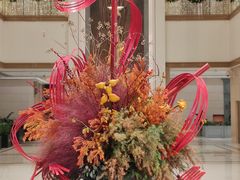 -中央广播电视总台(光华路办公区)