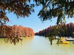 -上海海湾国家森林公园