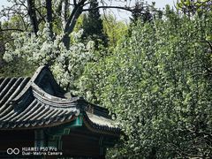 -宣武艺园