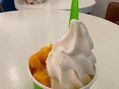 -Salud撒露欧洲冻酸奶(798艺术区店)