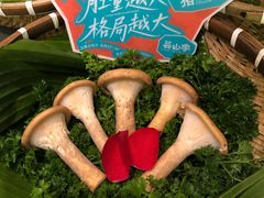 -芸山季·云南野生菌火锅(人民广场来福士店)