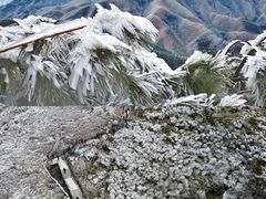 -金子山原生态旅游风景区