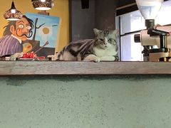 大堂-咖法森林·咖啡  酒吧(天河店)