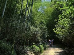 -南北湖风景区