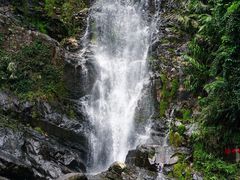-鼎湖山风景区