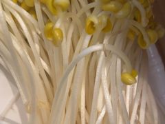 -蜀九香火锅(彩虹店)