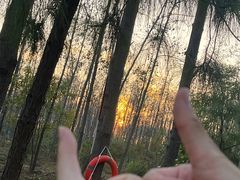 -合肥滨湖国家森林公园