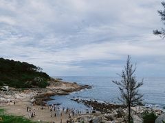 -广东惠东海龟国家级自然保护区