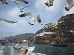 -海驴岛(荣成市)
