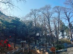 -崂山仰口游览区