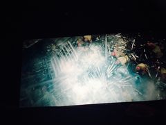 -哈尔滨电影院