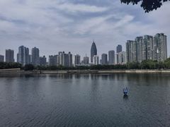 -西北湖绿化广场