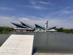 -盐城丹顶鹤湿地生态旅游区