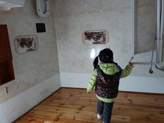 -金山农民画村-枫泾波兰倒置屋