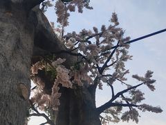 -西青郊野公园