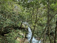 -燕子河大峡谷天坑仙境