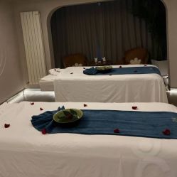 -隐逸SPA
