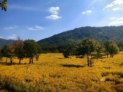 -塔川景区