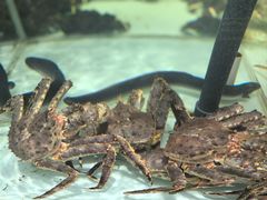 -万龙洲海鲜(大兴绿地缤纷城店)