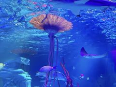 -沈阳海洋探索中心