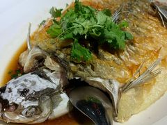 脆鳞蒸白苏丹鱼-同乐轩