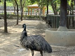 -石家庄市动物园