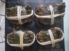 -阳澄湖大闸蟹·琼灵阁牌品牌连锁(吴中总店)
