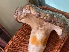 -草墩罗非鱼庄•野生菌•腊排骨(七星街上段店)