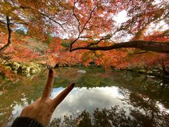 -醍醐寺