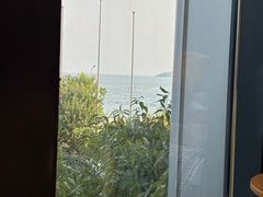-了不起的考拉咖啡店(高新店)