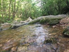 -丹东天桥沟景区