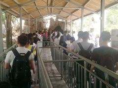 -泰安地下龙宫景区