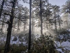 -瓦屋山景区