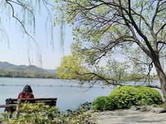 -西湖外事游船(花港观鱼码头)