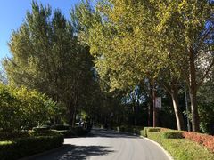 -长春公园(普阳街道)