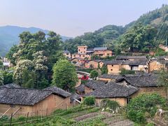 -杨家堂村