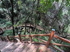-大岭沟猕猴桃谷风景区